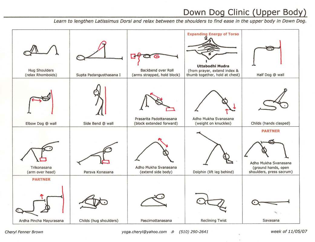 Down Dog Clinic (Upper Body) - Cheryl Fenner Brown, C-IAYT